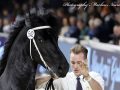 IMG_3514-Menso-542