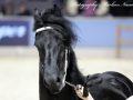 IMG_3516-Menso-542