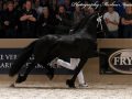 IMG_3484-Mewes-438