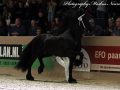 IMG_4215-Mewes-438