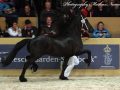 IMG_7823-Michiel-442