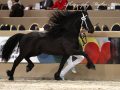 IMG_8440-Michiel-442