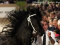 IMG_9914-Michiel-442