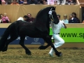 IMG_8050-Mintse-384