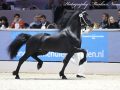 IMG_3203-Murk-540