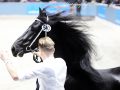 IMG_3256-Murk-540