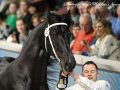 IMG_3296-Murk-540
