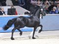 IMG_3304-Murk-540