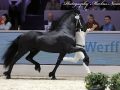IMG_0015-Nane-492