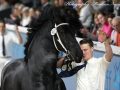 IMG_0044-Nane-492