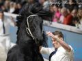 IMG_0049-Nane-492