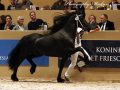 IMG_1724-Nane-492