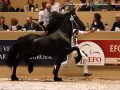 IMG_1727-Nane-492
