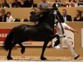 IMG_1730-Nane-492