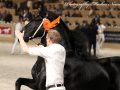 IMG_1802-Nane-492