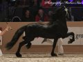 IMG_1993-Nane-492