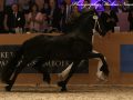 IMG_2268-Nane-492