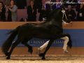 IMG_2270-Nane-492