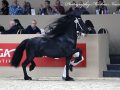 IMG_3193-Nane-492