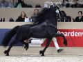 IMG_3209-Nane-492