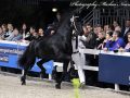 IMG_3240-Nane-492