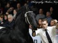IMG_3254-Nane-492