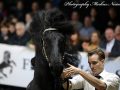 IMG_3257-Nane-492
