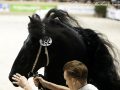 IMG_3265-Nane-492