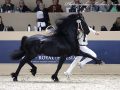 IMG_3284-Nane-492