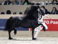 IMG_3286-Nane-492