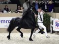 IMG_3312-Nane-492