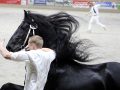 IMG_3341-Nane-492