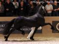 IMG_4313-Nane-492