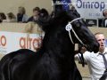 IMG_6293-Nane-492