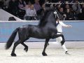 IMG_9914-Nane-492