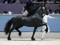 IMG_9951-Nane-492