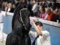 IMG_9972-Nane-492