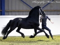 img_4115-Nane-492