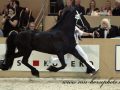 IMG_0827-Norbert-444