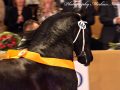 IMG_3954-Norbert-444