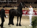 IMG_5019-Norbert-444