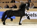 IMG_7303-Norbert-444