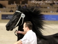 IMG_7318-Norbert-444