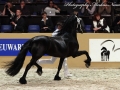 IMG_7846-Norbert-444