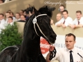 IMG_8468-Norbert-444