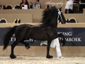IMG_8477-Norbert-444