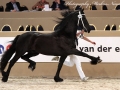 IMG_8503-Norbert-444