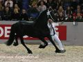 IMG_8951-Norbert-444