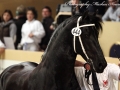 IMG_9167-Norbert-444