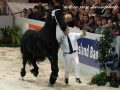 IMG_9439-Norbert-444